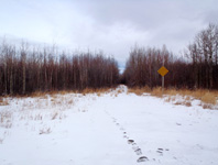 Warburg, AB Real Estate Auction